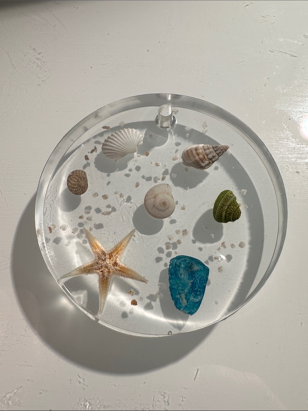 Clear Resin Circle with Seashells and Starfish